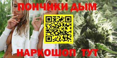 apvp Новодвинск