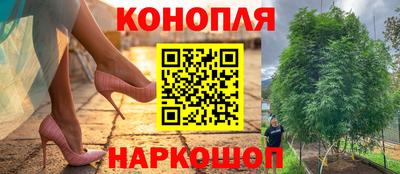 apvp Новодвинск