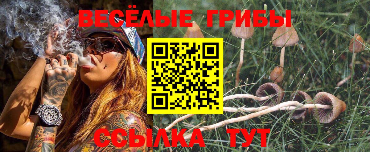Галлюциногенные грибы Magic Shrooms Серпухов